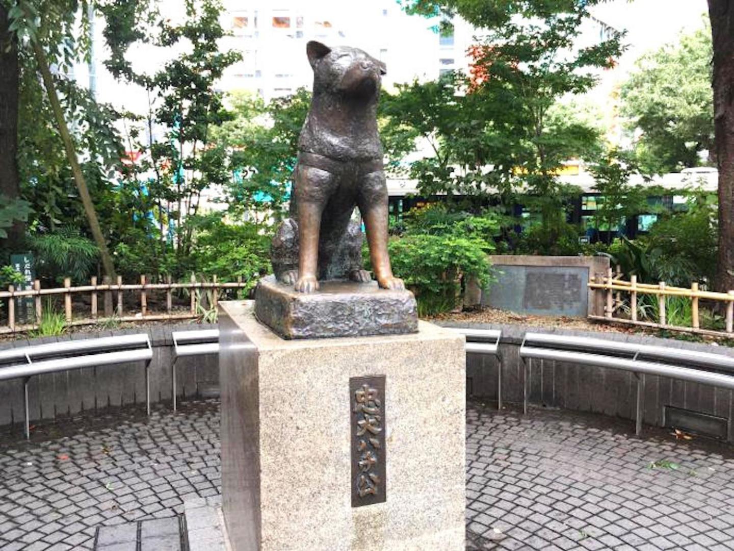 Building A101 / Vacation Stay 1275 Tōkyō Extérieur photo